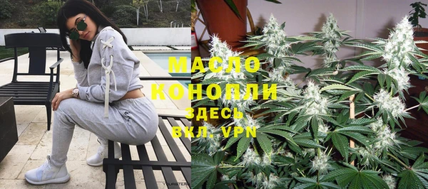 крисы Верхний Тагил