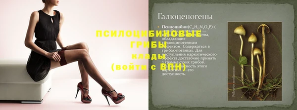 крисы Верхний Тагил